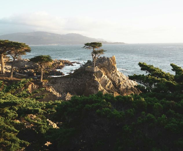 A rocky coastline with shrubs in the foreground and waves breaking against rugged cliffs under a clear sky.